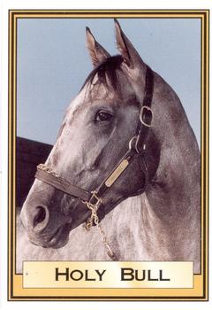 1995 Horse Star Holy Bull #1 Holy Bull Front